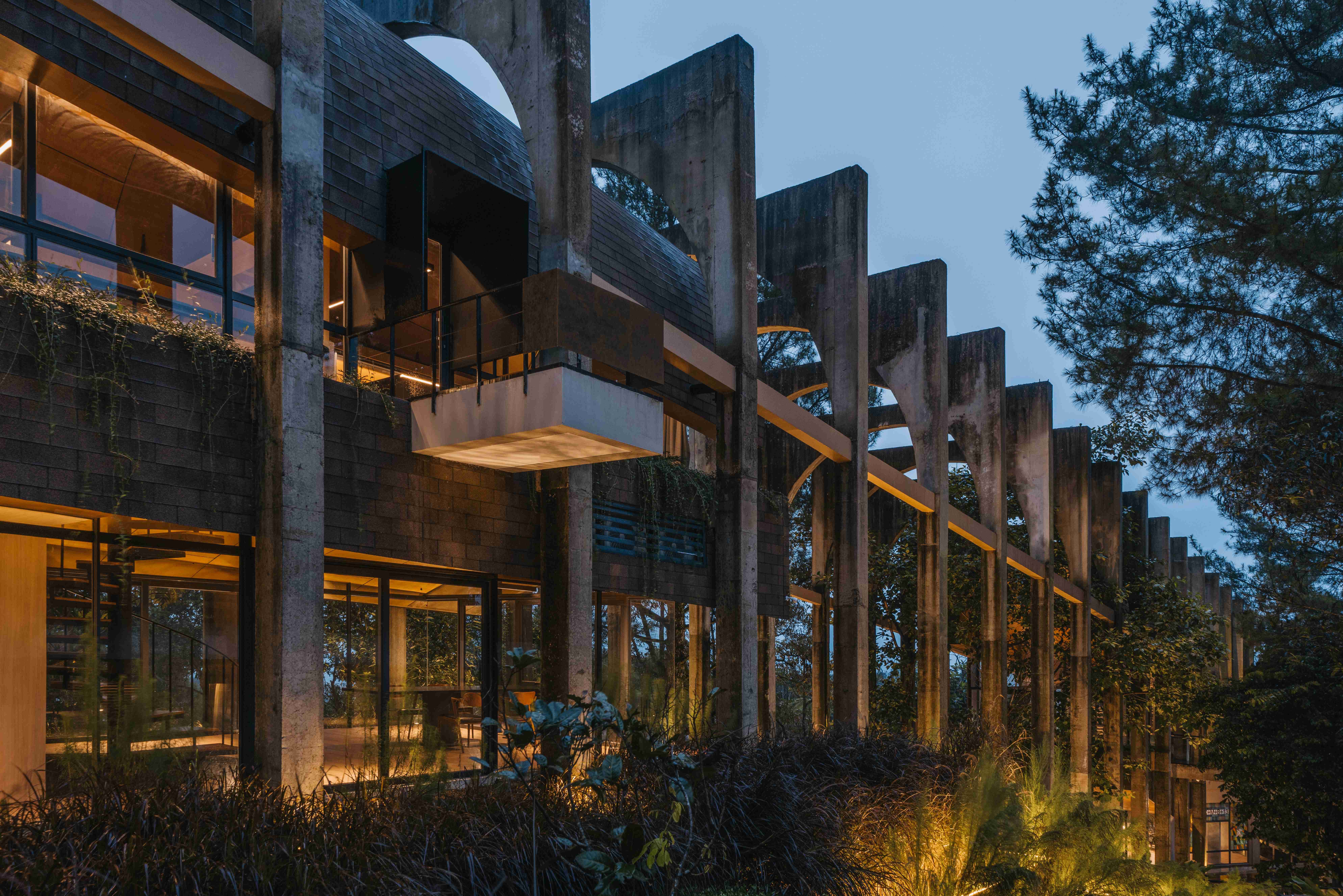 Six AMP 2025 Awardees | Works That Expand What Architecture Can Do | Sanctuary Tunnel Garden - Imagen 7