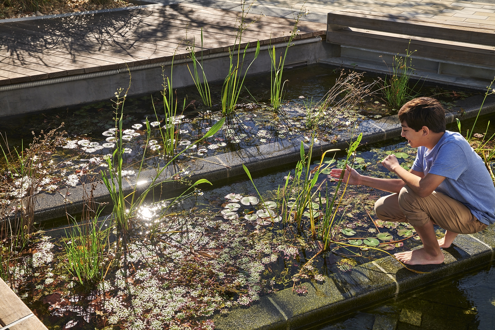 Six AMP 2025 Awardees | Works That Expand What Architecture Can Do | Texas Medical Center Helix Park - Imagen 1