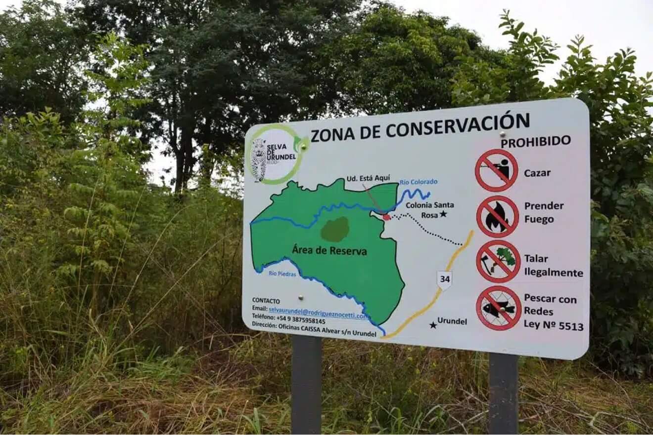 Revolución verde en la construcción: una empresa invierte en la protección de 50.000 hectáreas de selva en Salta - Imagen 1