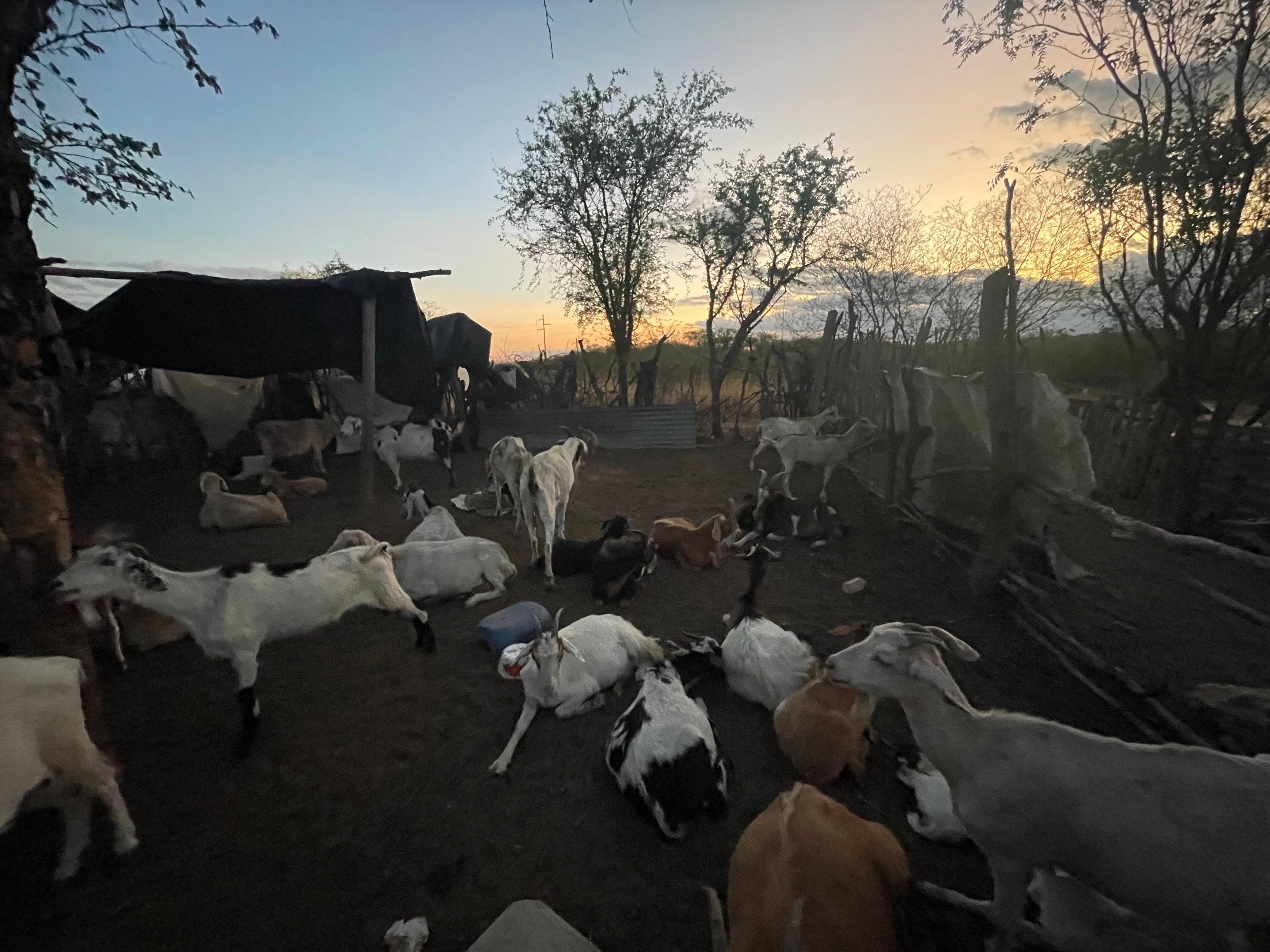 Pata Pila responde a la crisis del empleo en el norte argentino - Imagen 1